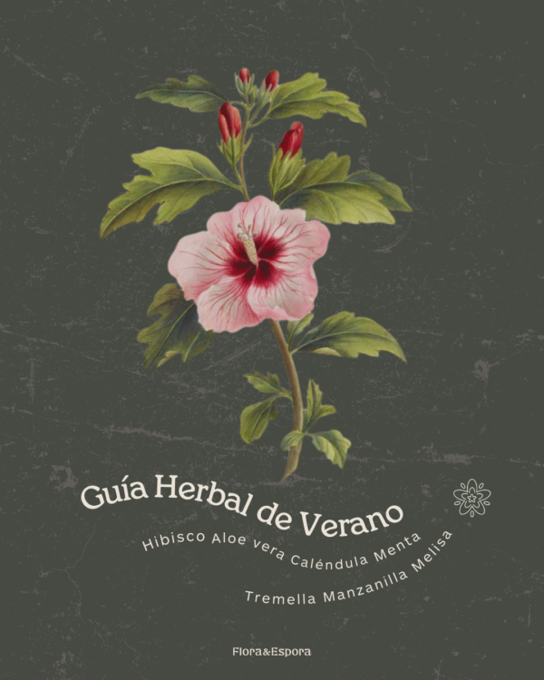 Guía herbal de verano